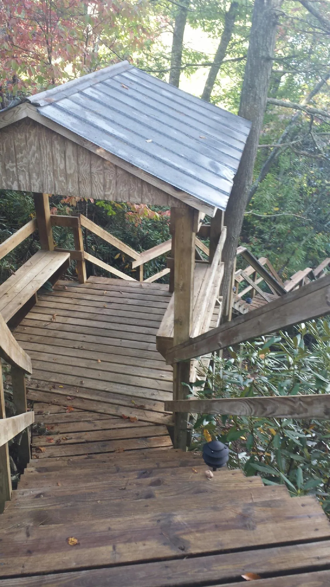 Metal roofed shelter over wooden steps on a wooded walkway — Skylight Repair & Installation work by our crew in Due West